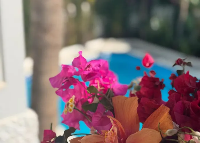 Villa Nerja نيرخا