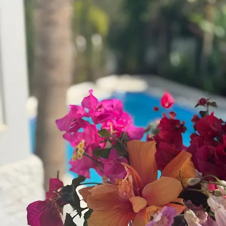 Villa Villa Nerja Nerja